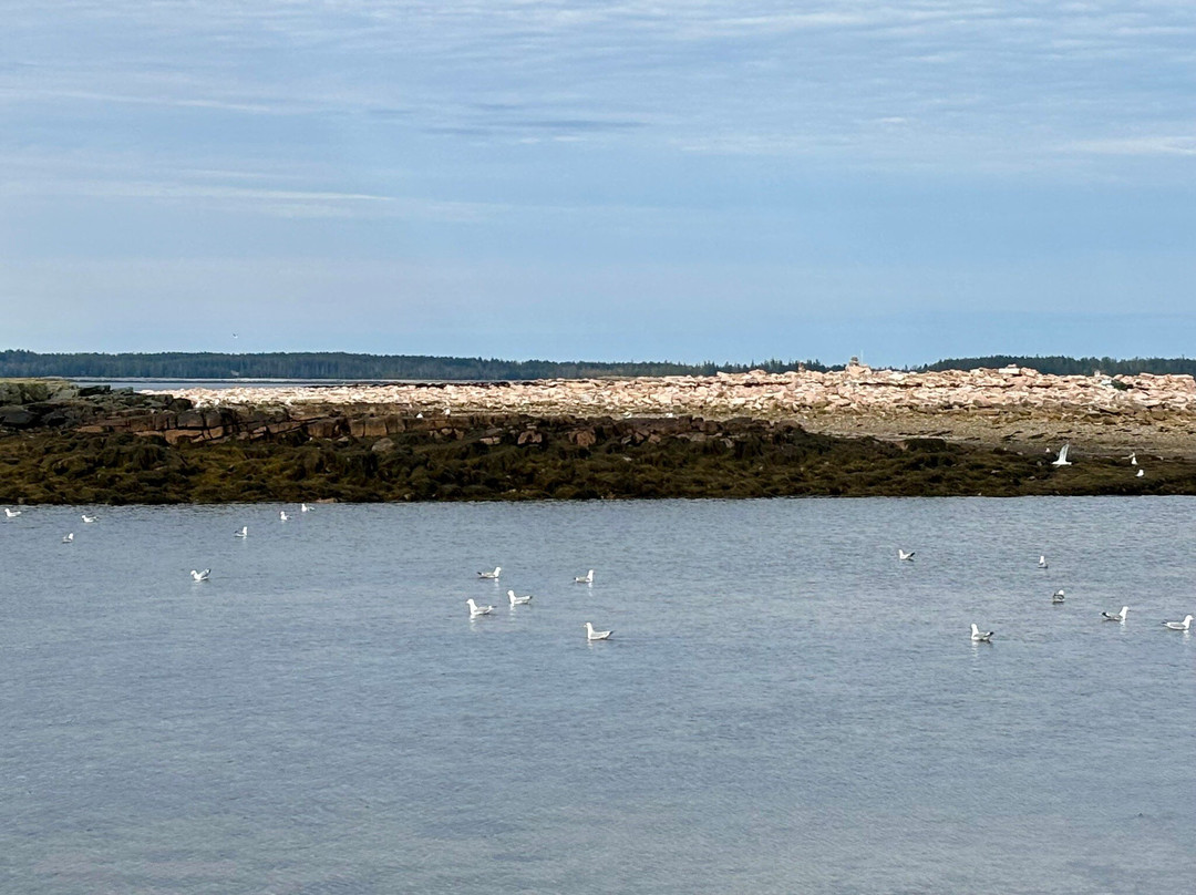 Wonderland Trail-Southwest Harbor必去景点