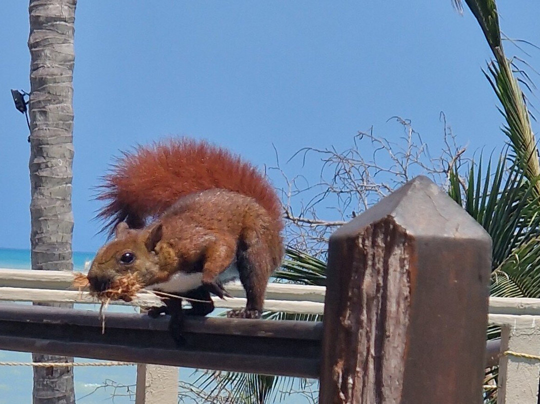 Chiniu Hotel Boutique主图