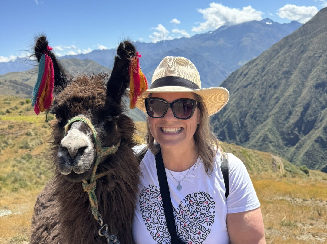 Alpaca Trek Adventures景点图片
