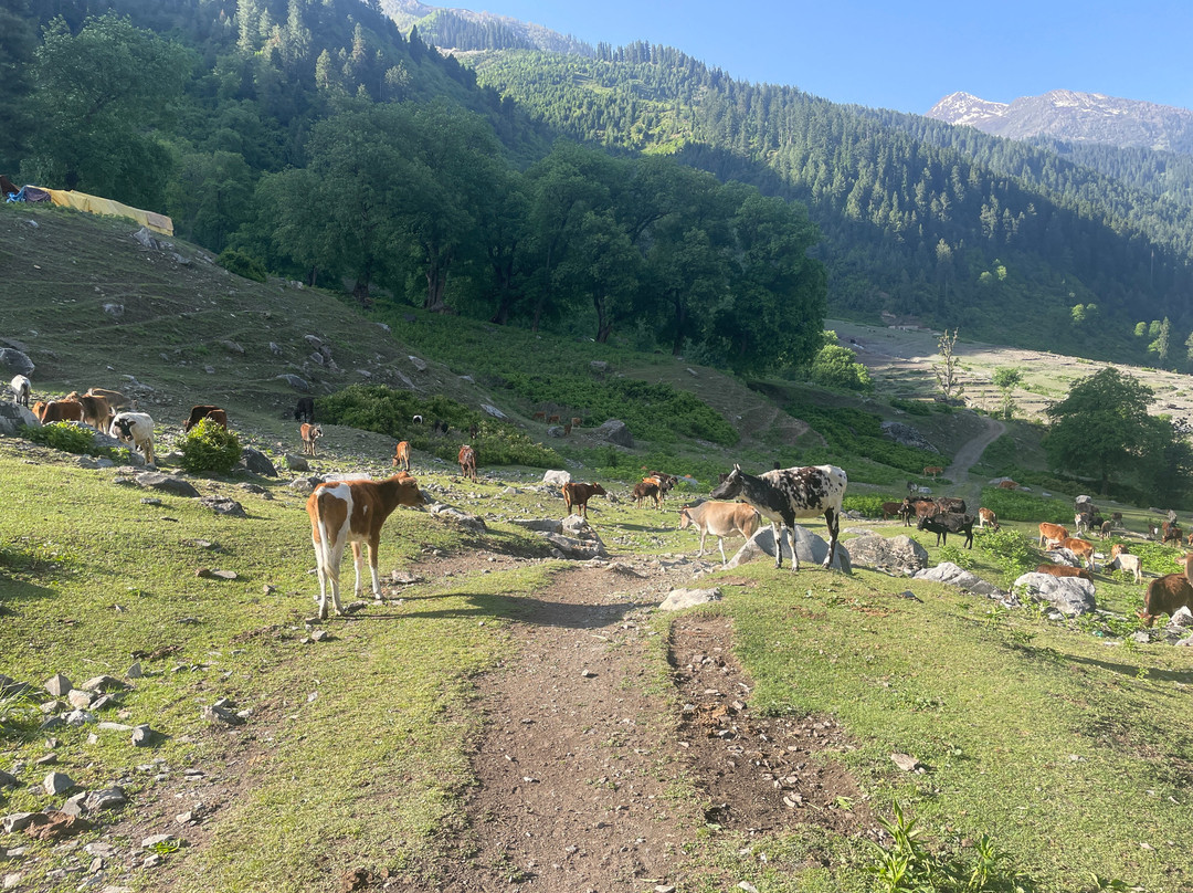 Hotel The Villa Himalaya主图