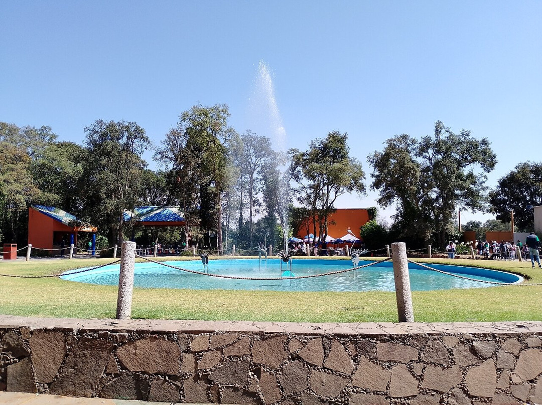 Bioparque Estrella México-San Juan Tuxtepec必去景点