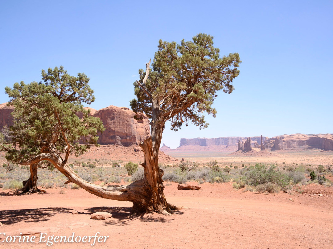 Valley View Tours-纪念碑公园必去景点