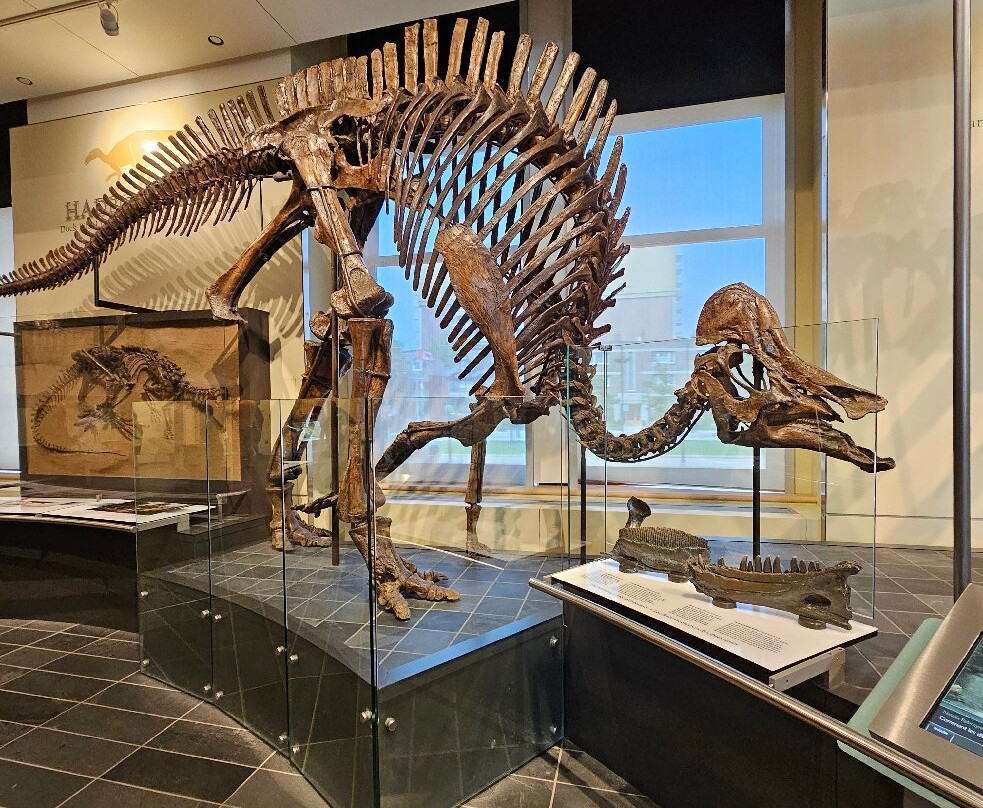 Canadian Museum Of Nature-渥太华必去景点