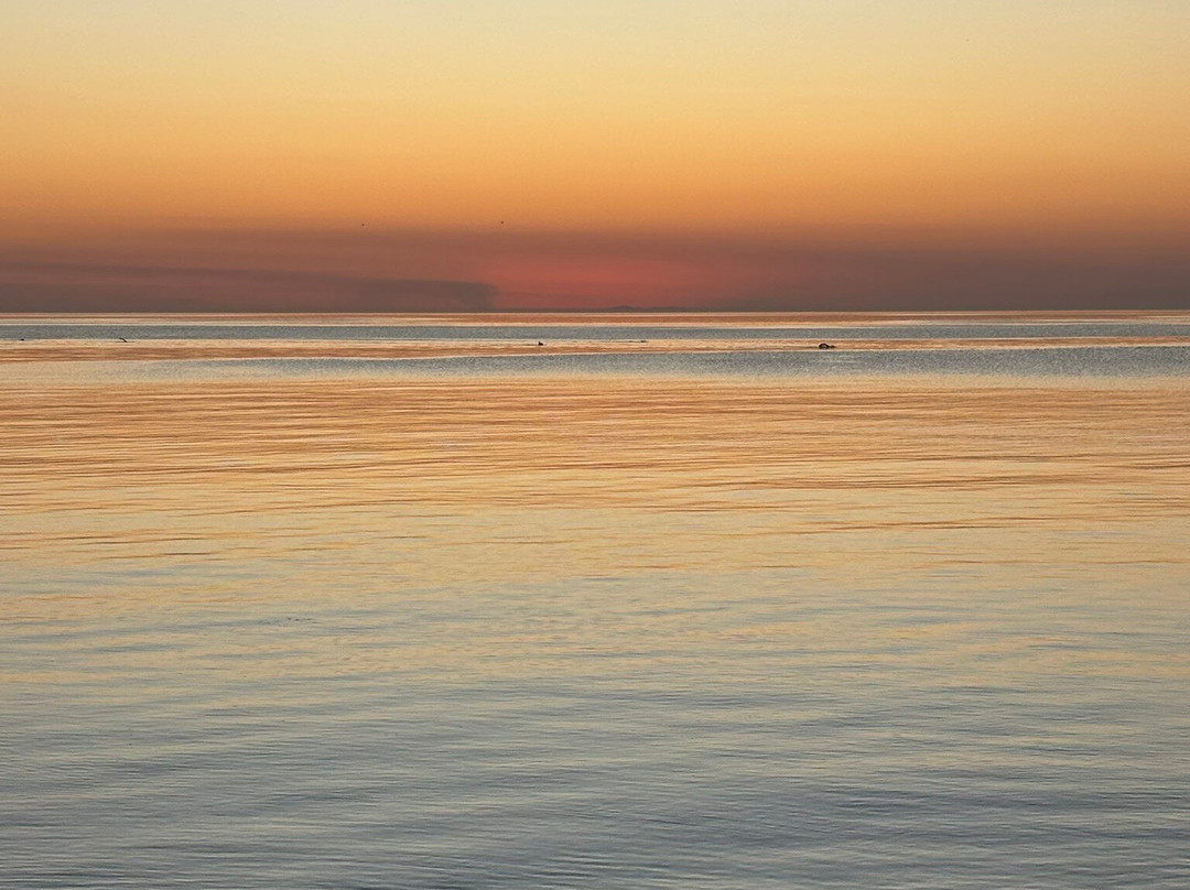Ranelagh Beach景点图片