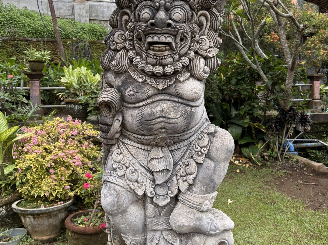 Ubud Taxi Driver景点图片