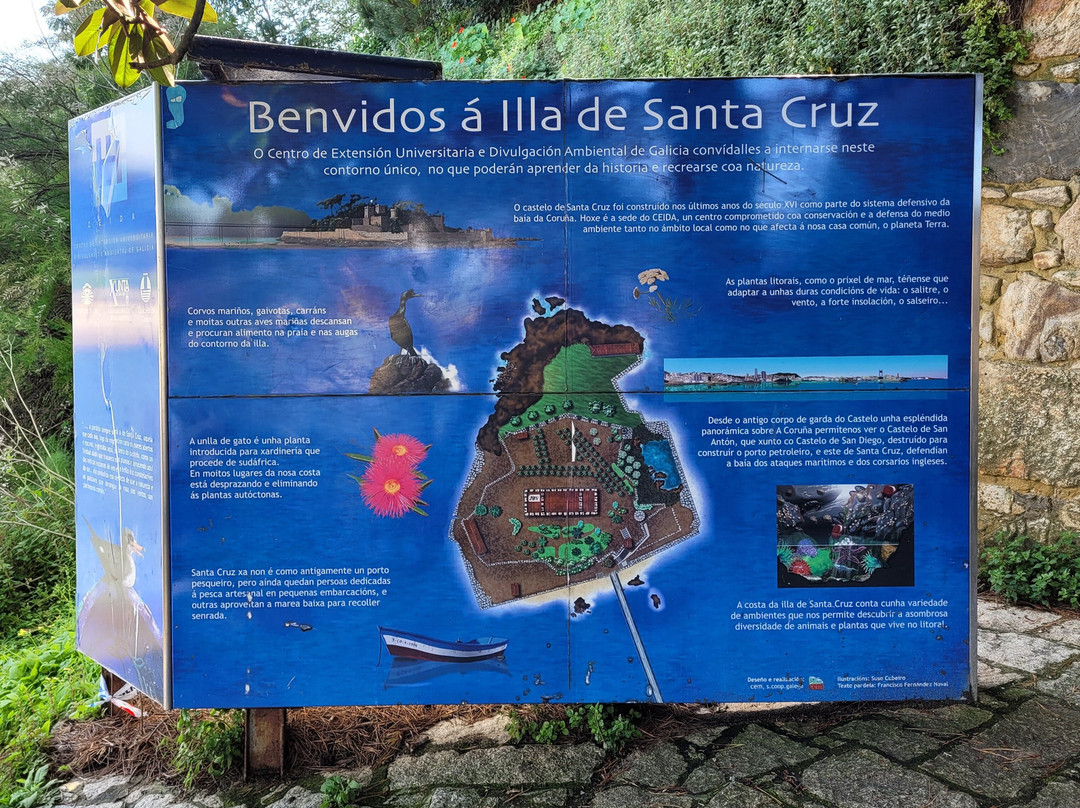 Castelo de Santa Cruz-Porto de Santa Cruz必去景点