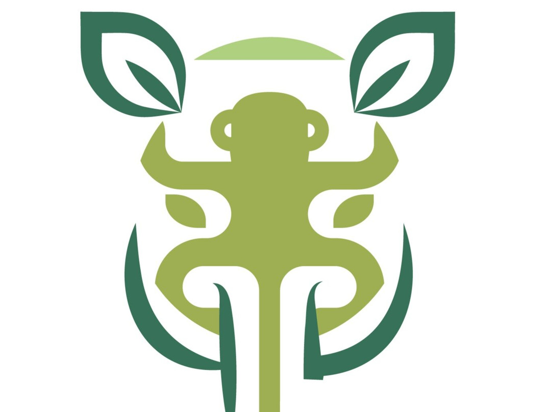 Liberia Transfers & Tours-利比里亚必去景点