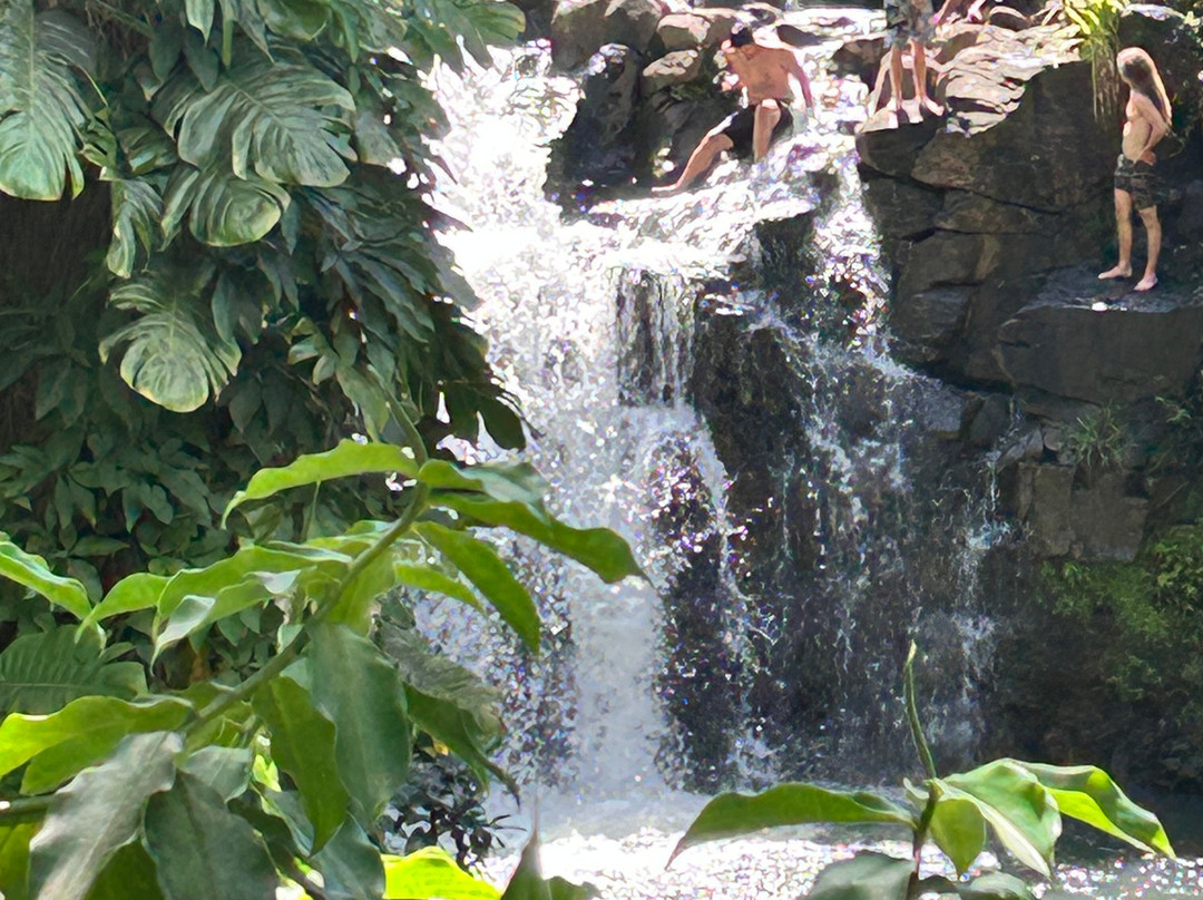 The Kings Gardens Maui-Huelo必去景点