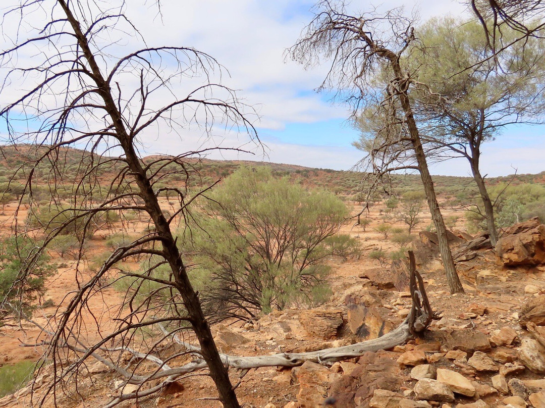 Mutawintji National Park景点图片