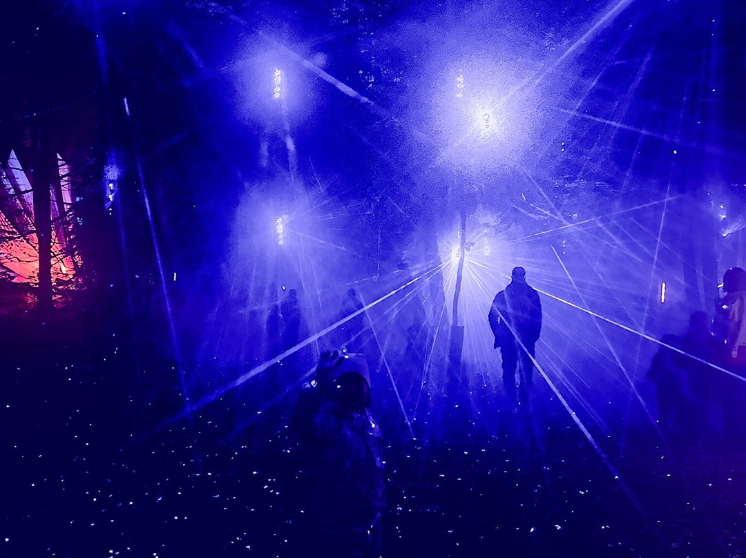 Alta Lumina景点图片