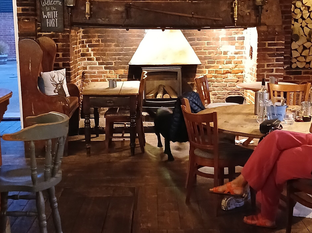The White Hart Blythburgh主图