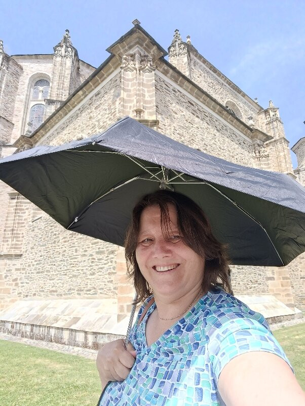 Colegiata de Santa Maria景点图片