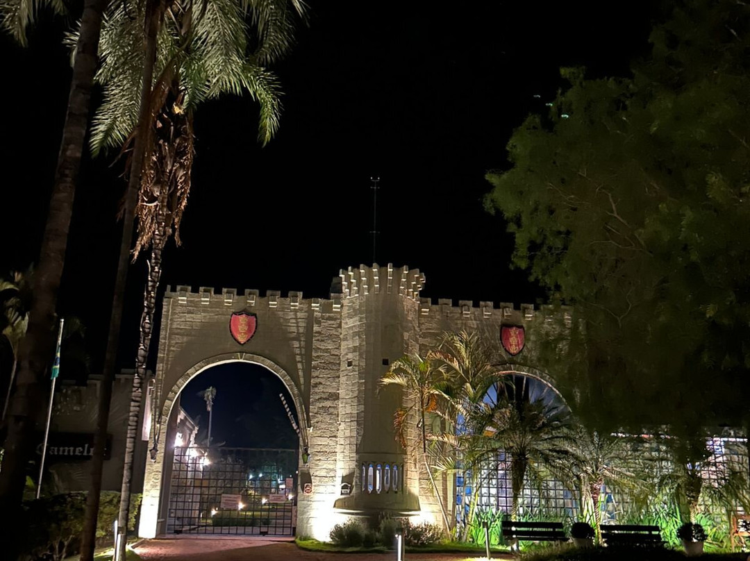 Pousada Camelot Inn主图