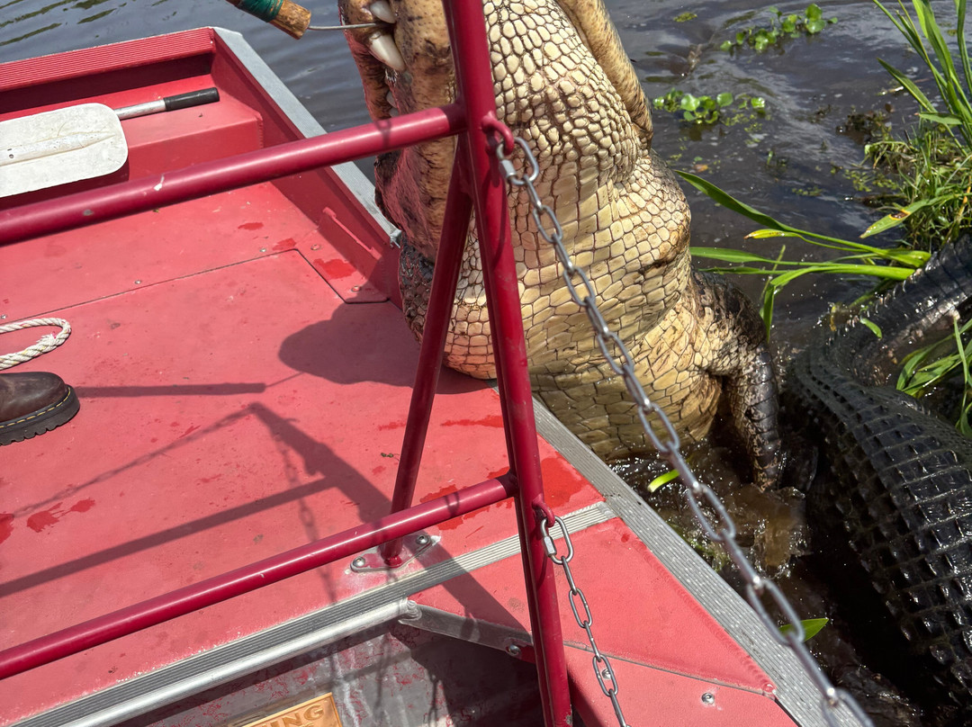 New Orleans Airboat Tours景点图片