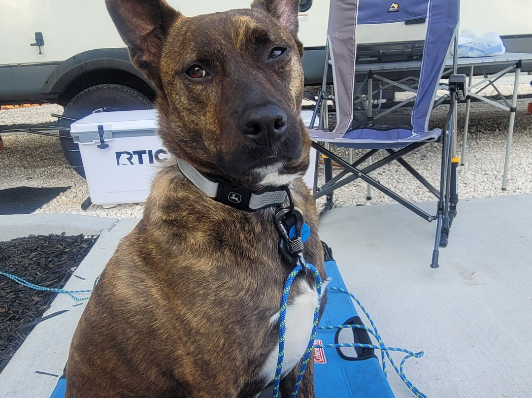 Fort Morgan RV Park-格尔夫海岸必去景点