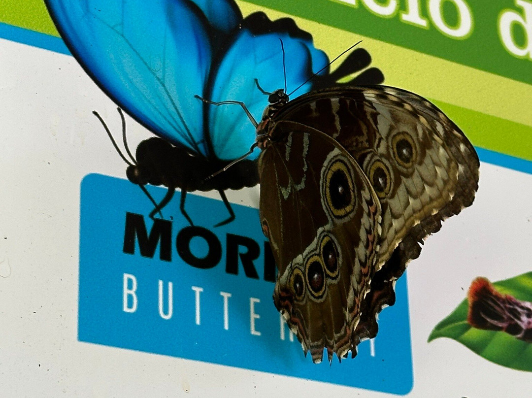 Arenal Oasis Wildlife Refuge-福德圣卡洛斯必去景点