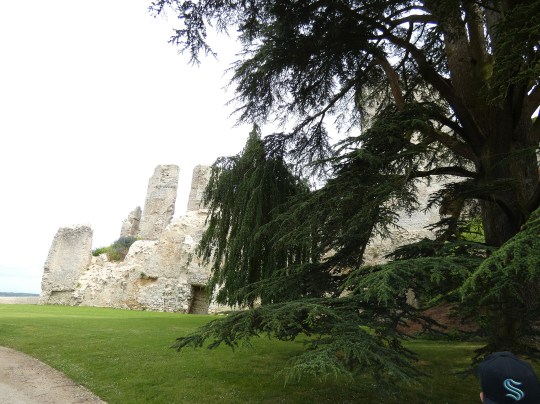 Château de Vendôme景点图片