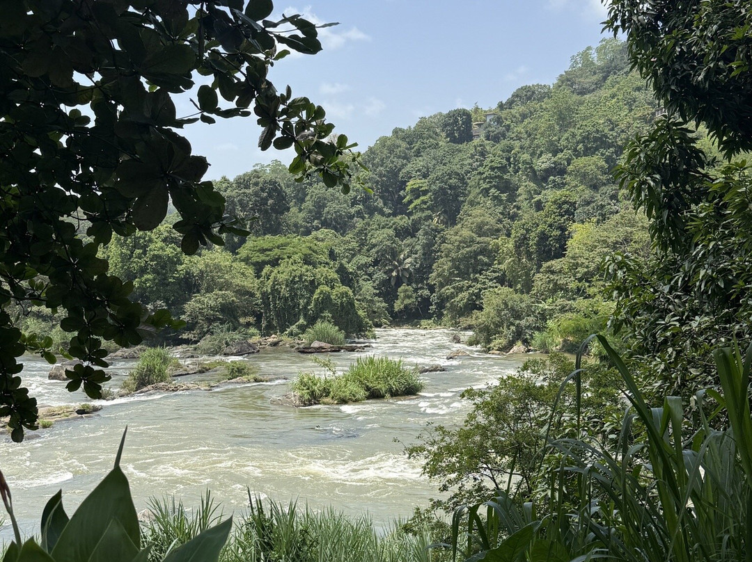 Lesley tuk tuk Safari-康提必去景点