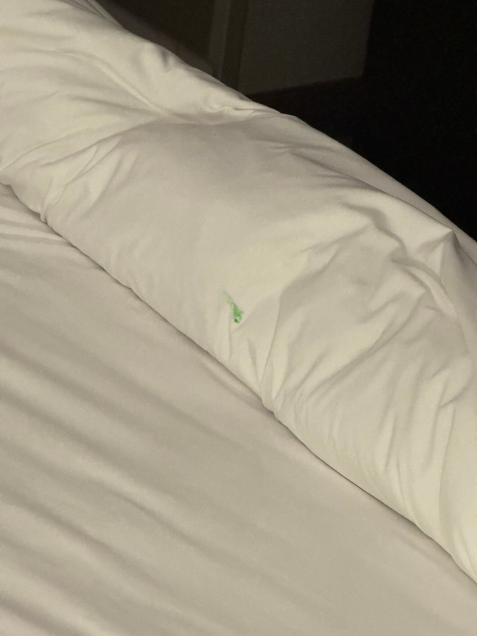 Holiday Inn St. Louis - Downtown Conv Ctr By IHG-官方