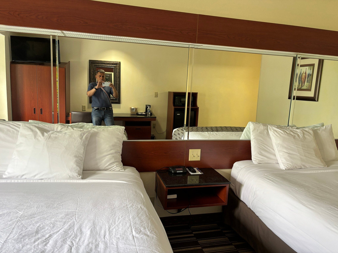 Microtel Inn & Suites by Wyndham Indianapolis Airport主图