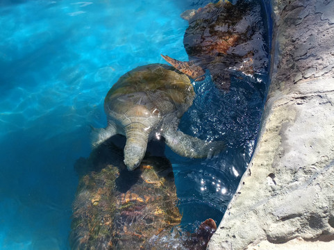 Mauro Tours-萨尔瓦多必去景点