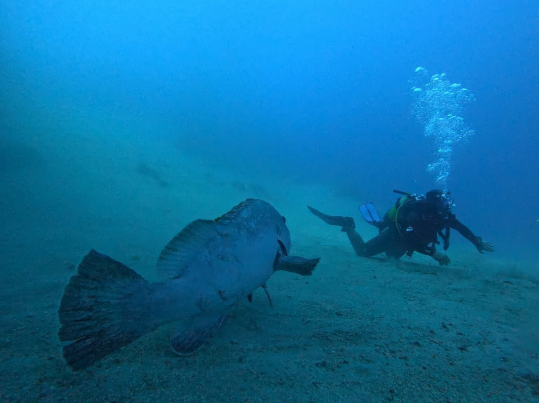 Atlantis Diving Lanzarote景点图片