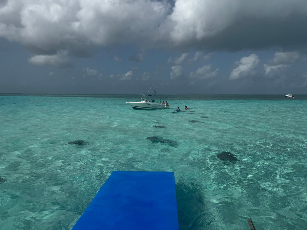 Stingray Sailing-大开曼岛必去景点