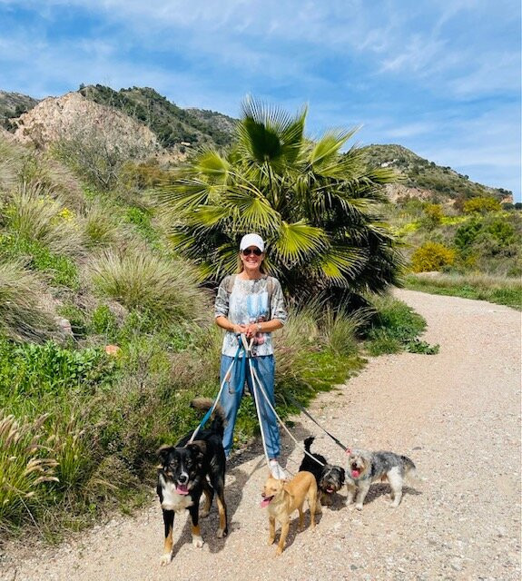 Triple A Marbella Animal Shelter-马贝拉必去景点