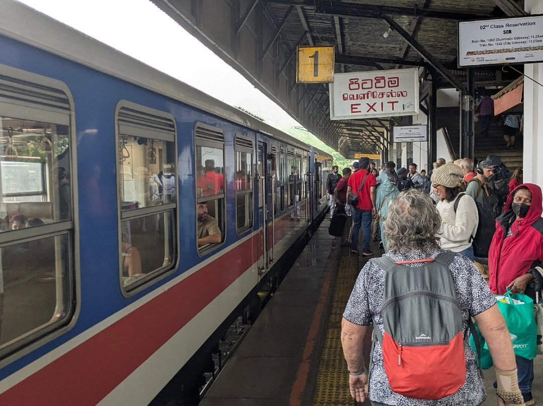 Nanuoya To Ella Train Ride-Nanu Oya必去景点