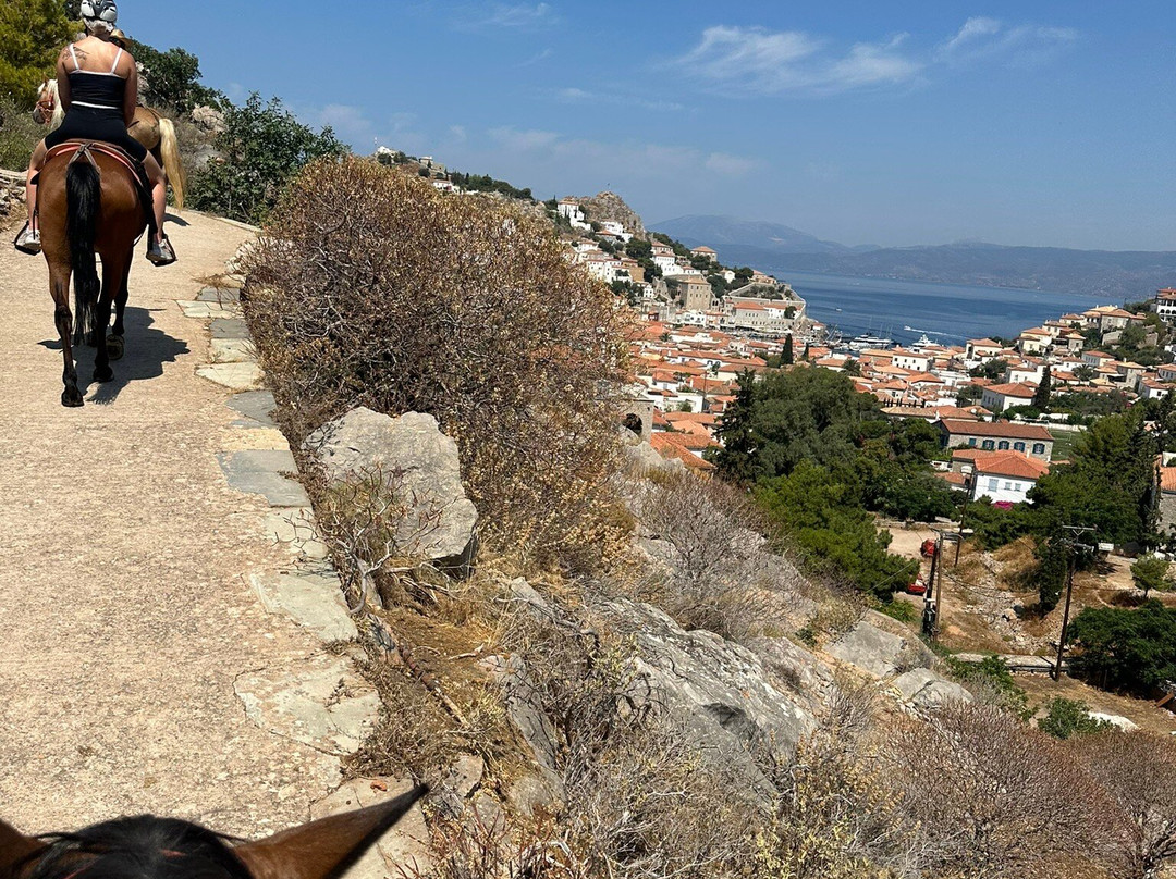 Harriets Hydra Horses-Hydra Town必去景点