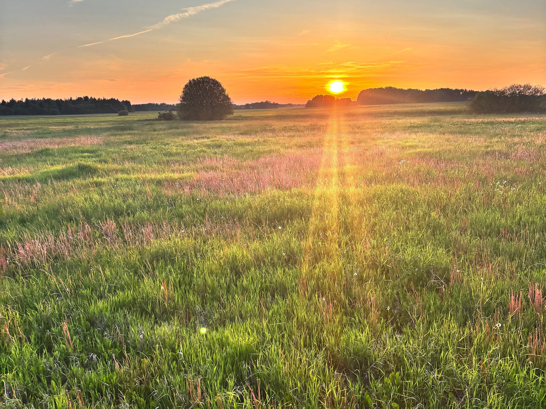 BallongFlyg i Stockholm-斯德哥尔摩必去景点