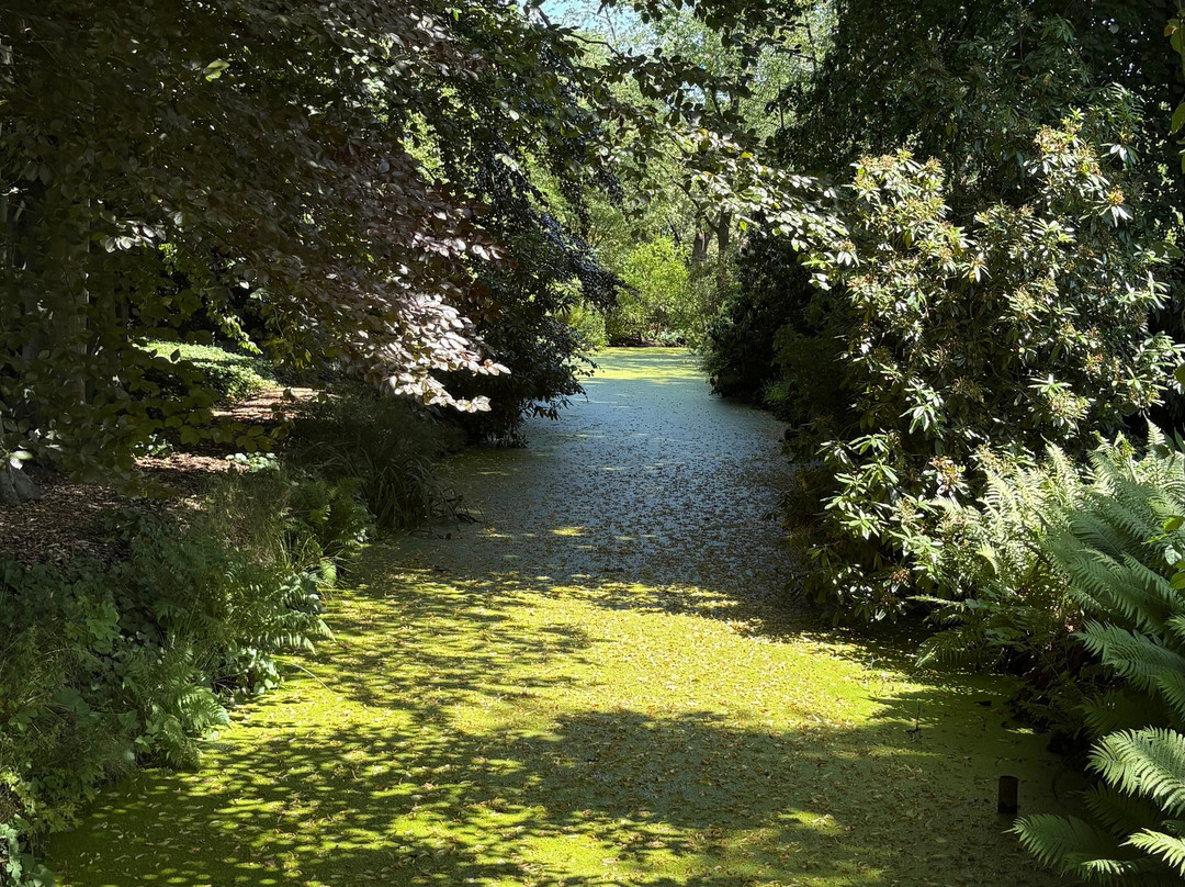 Stichting Arboretum Oudenbosch-Oudenbosch必去景点