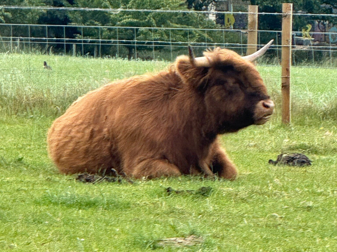 WOW Scotland Tours-因弗内斯必去景点