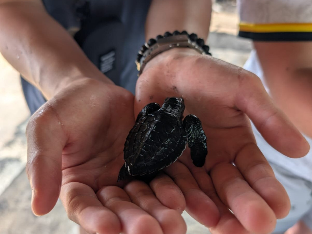 Aussie Bali Adventures-达巴南必去景点