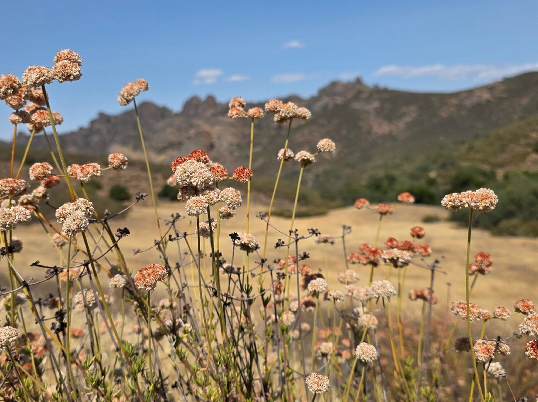 尖顶国家公园-Paicines必去景点