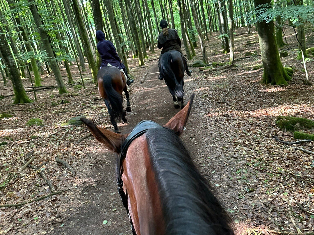 Tostarp Bed'n Ride-Ljungbyhed必去景点