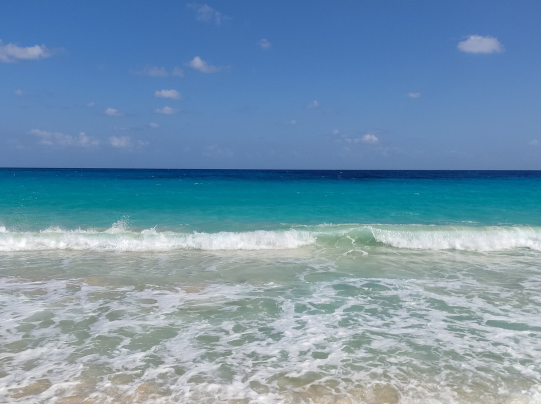 杰斯阿勒马扎湾酒店主图