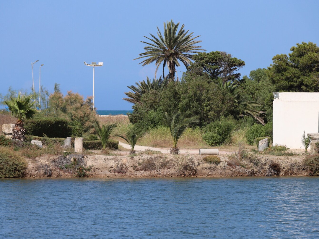 Punic Ports & Museum-迦太基必去景点