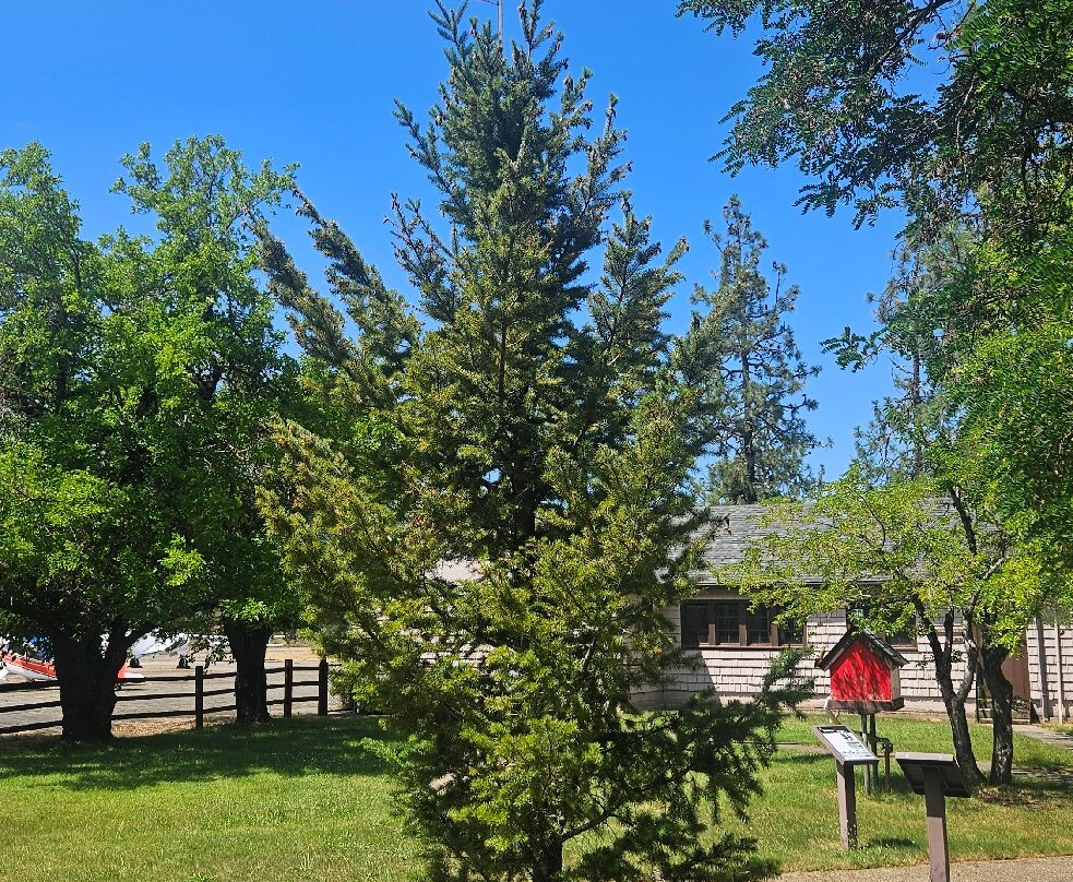 Siskiyou Smokejumper Base Museum-凯夫章克申必去景点
