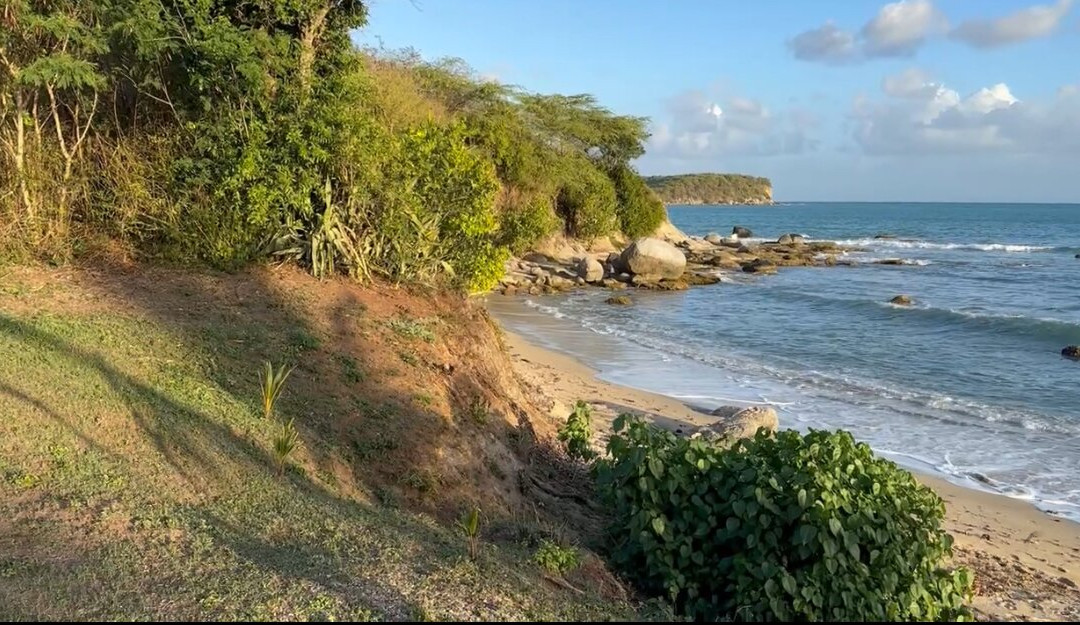 Vieques Island-维切克岛必去景点