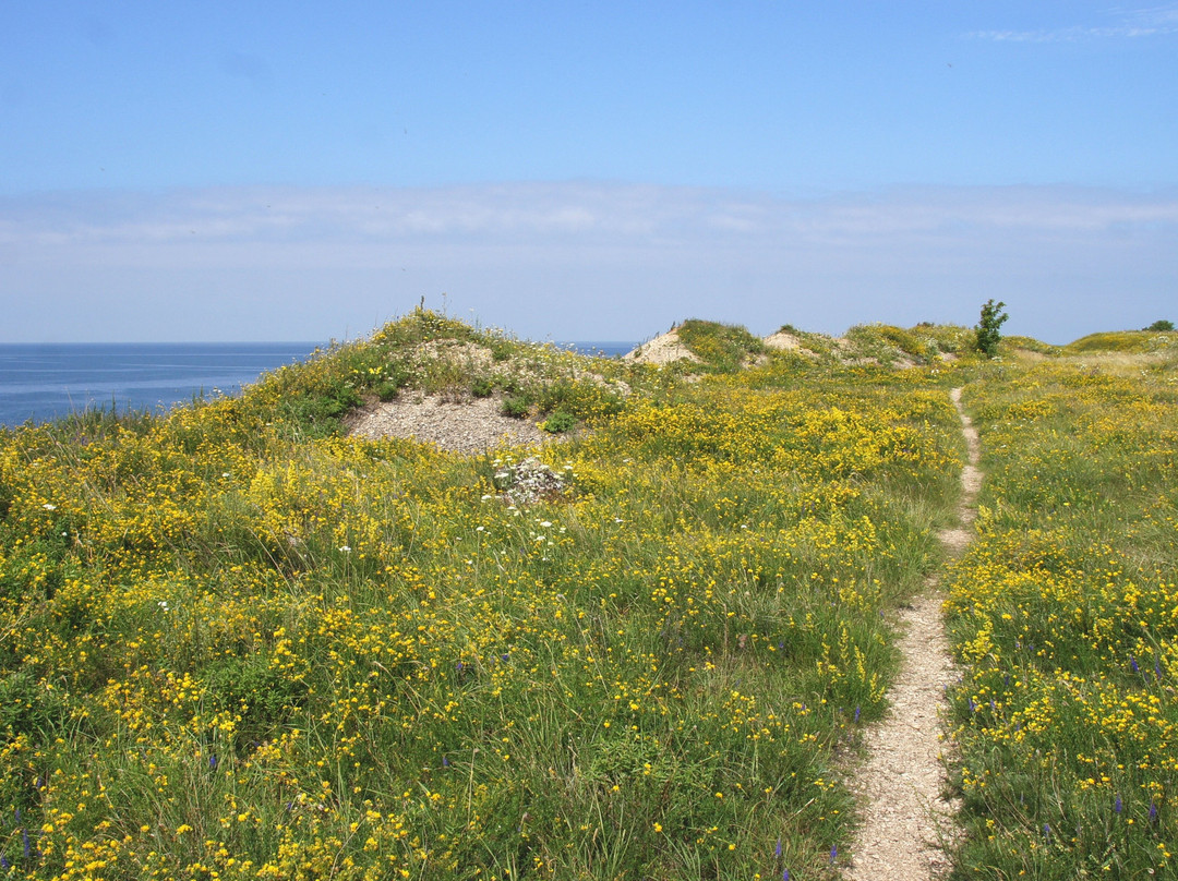Pakri poolsaare matkarada-Paldiski必去景点