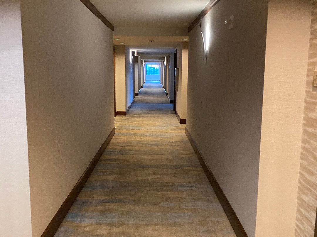 明尼阿波利斯/布卢明顿希尔顿酒店主图