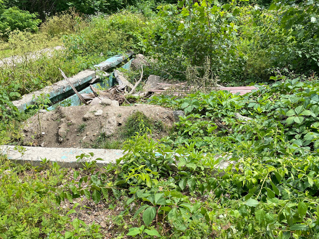 Ventfort Hall Mansion and Gilded Age Museum-莱诺克斯必去景点