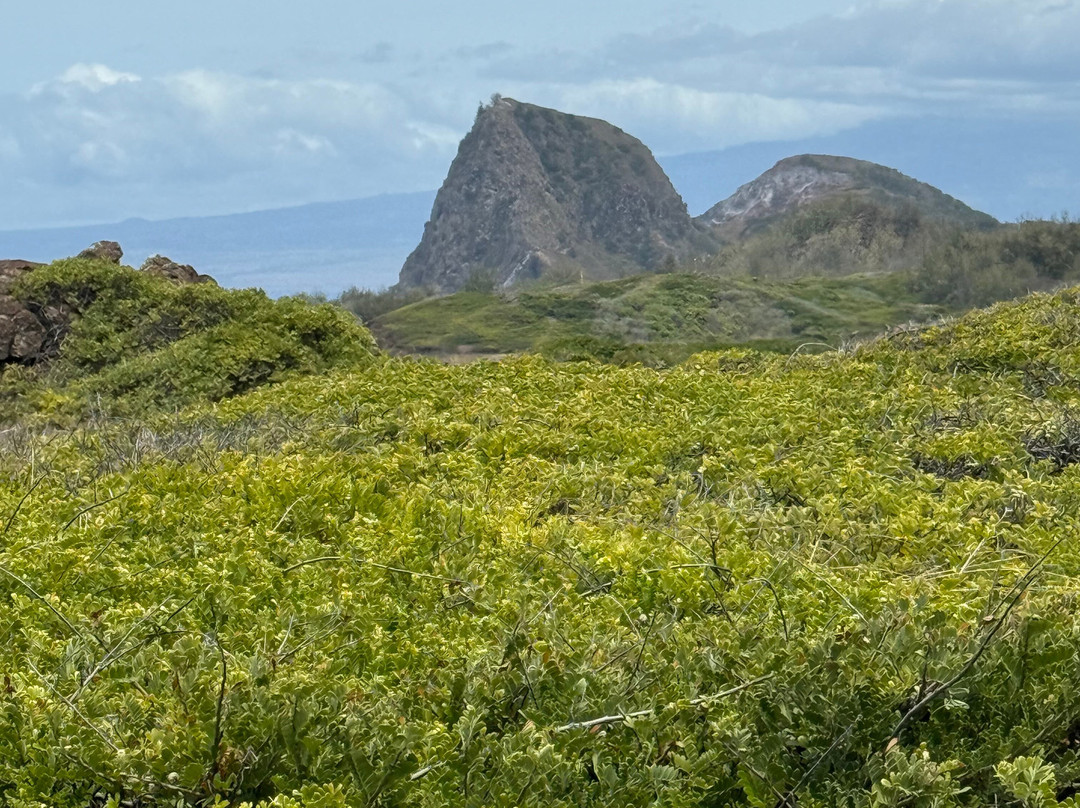 Ohai Loop Trail and Overlook-拉海纳必去景点