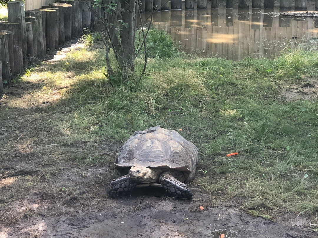 Wilderness Trails Zoo-伯奇伦必去景点