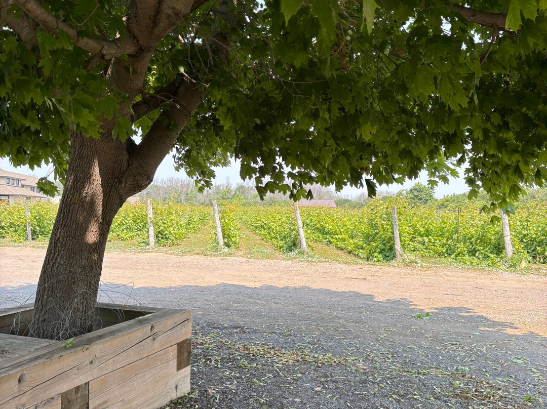 Sandbanks Estate Winery-Wellington必去景点