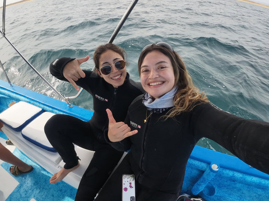 Primal Ocean-La Ventana必去景点