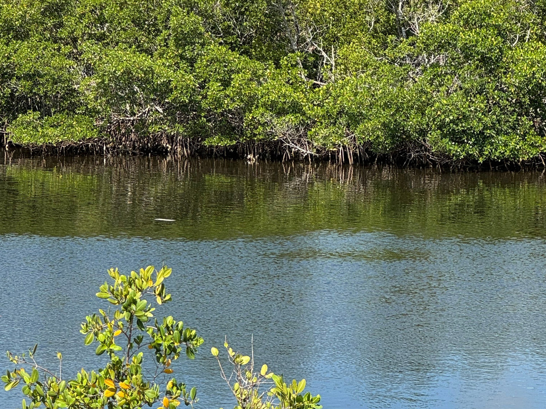 Sirenia Vista Park-开普科勒尔必去景点