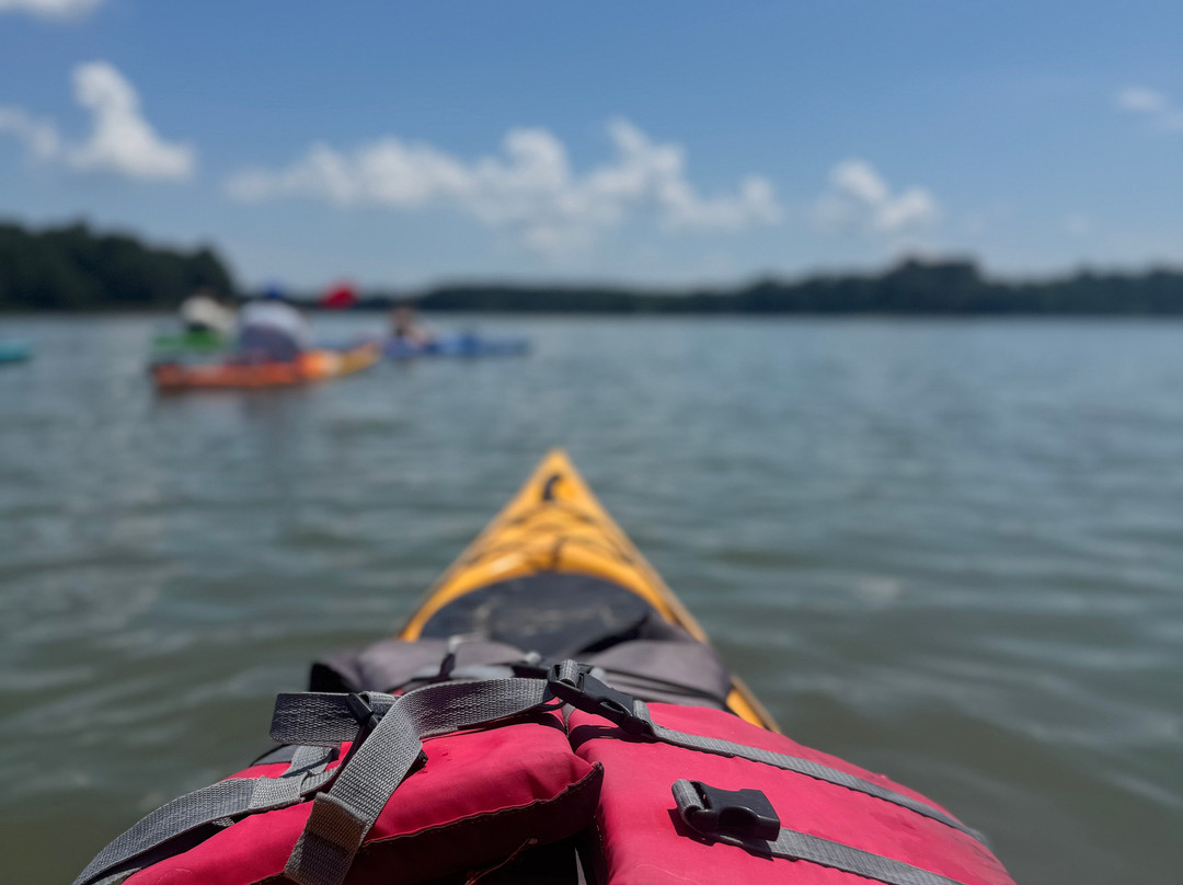 SouthEast Expeditions-Cape Charles必去景点