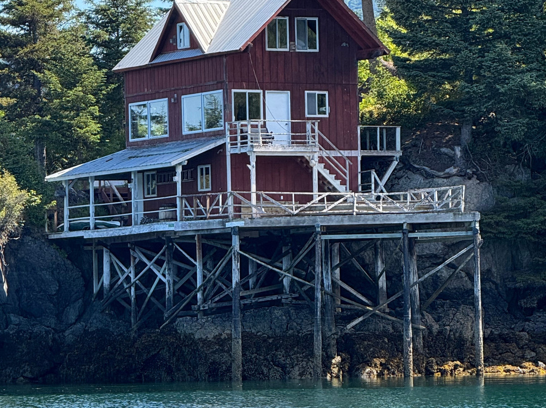 True North Kayak Adventures-荷马必去景点